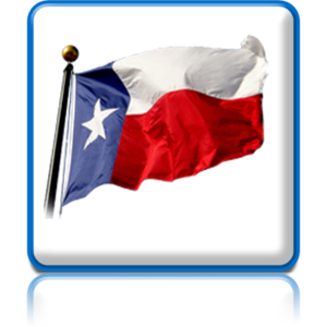 Texas State Flag - Outdoor Flags | Houston, TX